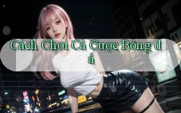 Cách chơi Cá cược bóng đá