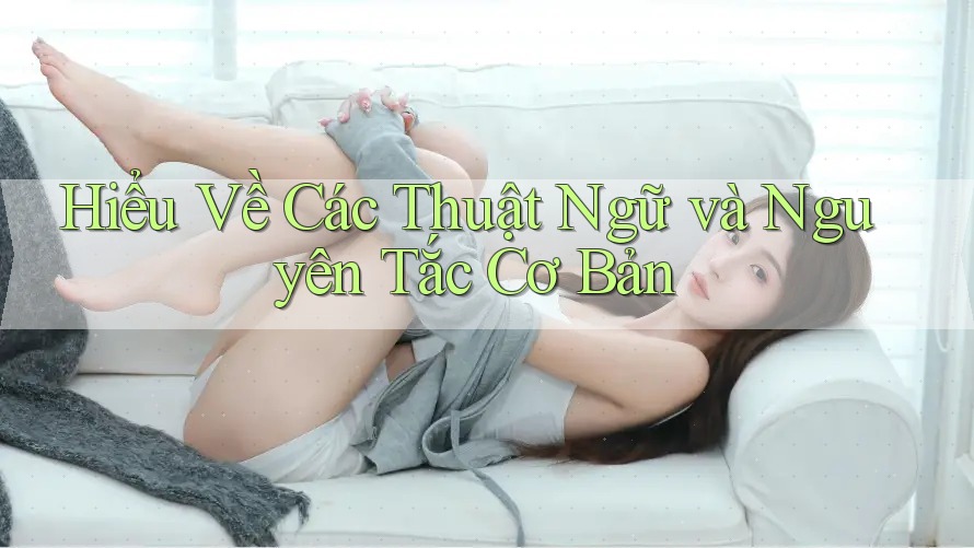 Hiểu Về Các Thuật Ngữ và Nguyên Tắc Cơ Bản Hiểu Về Các Thuật Ngữ và Nguyên Tắc Cơ Bản