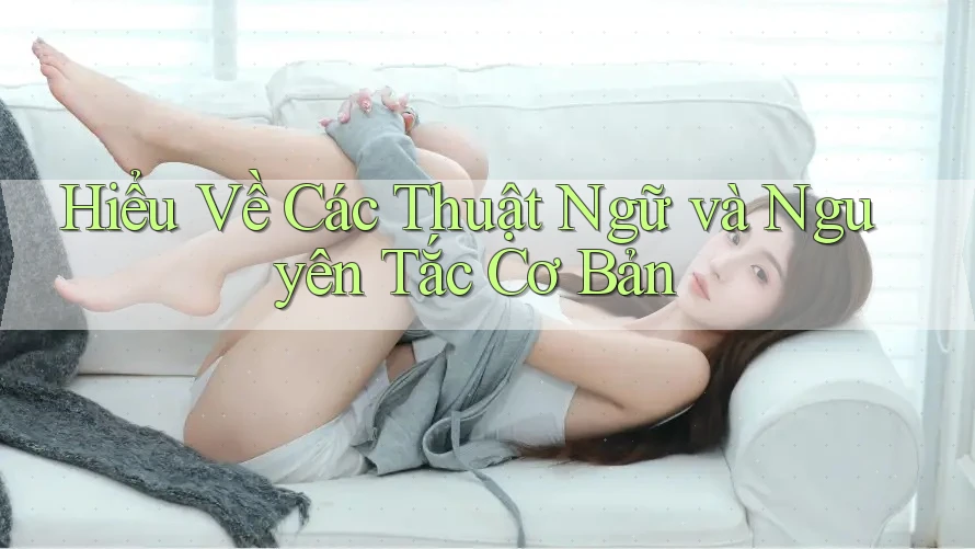 Hiểu Về Các Thuật Ngữ và Nguyên Tắc Cơ Bản Hiểu Về Các Thuật Ngữ và Nguyên Tắc Cơ Bản