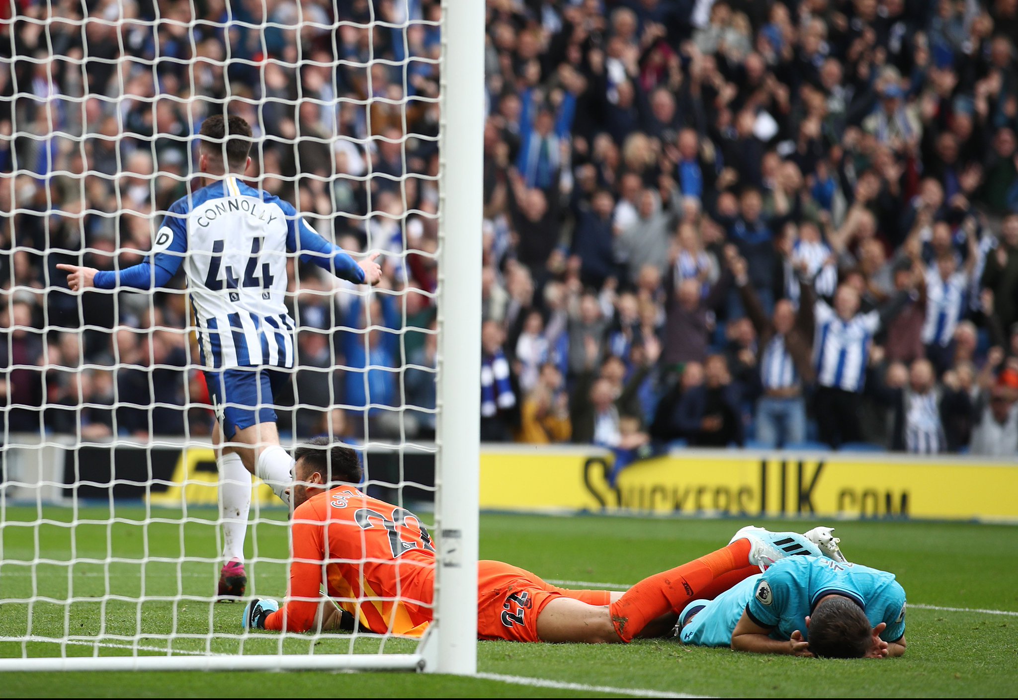 仅因为他们 仅因为他们